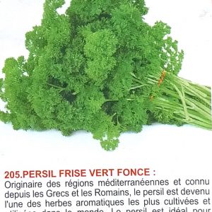 Semence de PERSIL FRISE VERT FONCE Technisem 100 gr