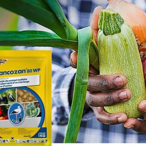 Fongicide granulé MANCOZAN 80 WP 1 kg – Cultures maraichères