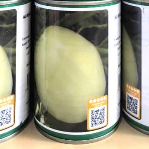 Semence hybride d&rsquo;AUBERGINE AFRICAINE F1 DJAMBA 50 gr