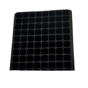 Alvéole agricole – Pépinières, semis, jeunes plants