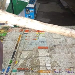 Petite DABA de sarclage – Usage agricole et domestique