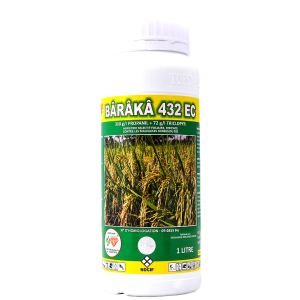 Herbicide liquide sélectif BÂRÂKÂ 432 EC 1 litre – Spécial riz
