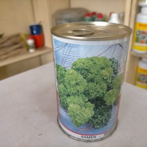 Semence de PERSIL FRISE VERT FONCE Raci 100 gr