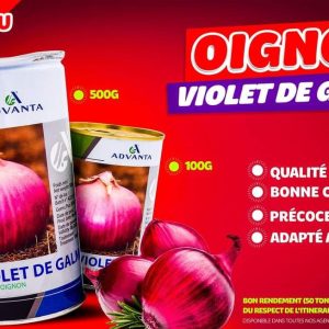 Semence d&rsquo;OIGNON VIOLET DE GALMI 500 gr