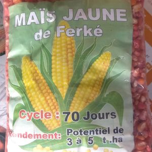 Semence de MAIS JAUNE DE FERKE 1 kg
