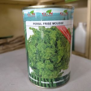 Semence de PERSIL FRISE MOUSSE GSN 100 gr