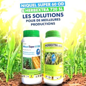 Herbicide liquide sélectif de post-levée HERBEXTRA 720 EC 1 litre – Riz, maïs, canne à sucre
