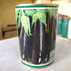 Semence hybride d’AUBERGINE KALENDA F1 50 gr