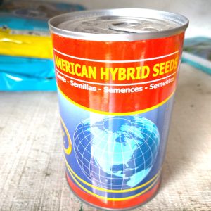 Semence hybride d&rsquo;AUBERGINE F1 BLANCHE (DJEMBA) 50 gr