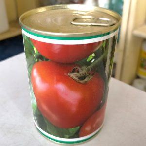 Semence de TOMATE COBRA 34 50 gr Techinsem