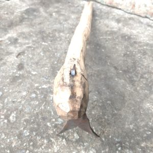 Binette pour semis – Cultures maraichères, potagers