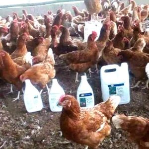 Complément alimentaire 100% Bio SUPER GRO 5 litres + Insecticides liquides 100% Bio LES 3 COMBATTANTS 3 litres -Élevage