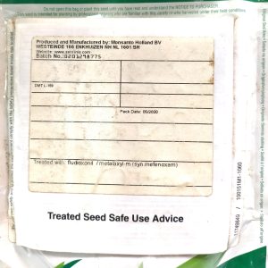 Semence de CHOU HYBRIDE CABUS OXYLUS 100 gr