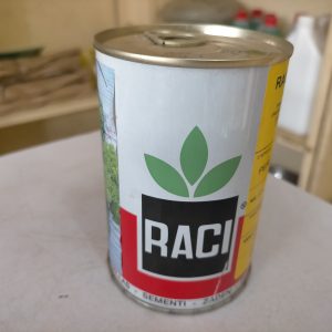 Semence de PERSIL FRISE VERT FONCE Raci 100 gr