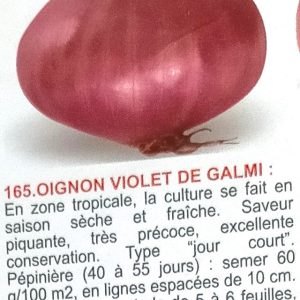 Semence d’OIGNON VIOLET DE GALMI 100 gr