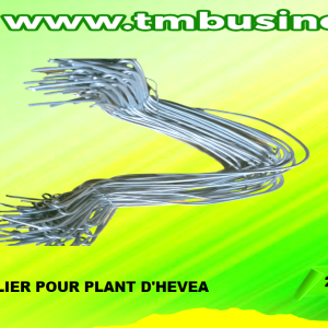 Collier pour plant Hévéa (emballage de 50 unités)