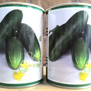 Semence hybride de CONCOMBRE TOKYO F1 50 gr