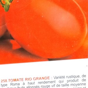 Semence de TOMATE RIO GRANDE 100 gr