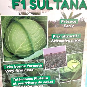 Semence hybride de CHOU F1 SULTANA 50 gr