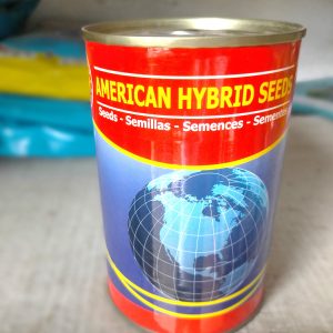 Semence hybride d&rsquo;AUBERGINE N&rsquo;DROWA ISSIA 50 gr