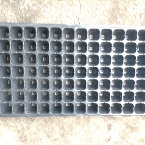Plaque alvéolée – Pépinières, semis, jeune plant