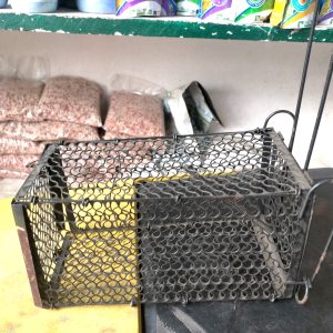 Piège à souris et autres rongeurs
