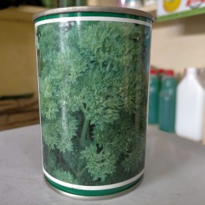 Semence de PERSIL FRISE VERT FONCE Technisem 100 gr