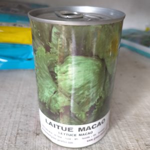 Semence de LAITUE MACAO 100 gr