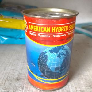 Semence de PIMENT ANTILLAIS 50 gr