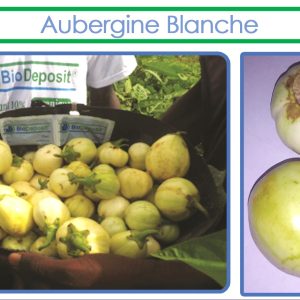 Engrais foliaire 100% Bio BIODEPOSIT ELIXIR 12 ml – Aubergine