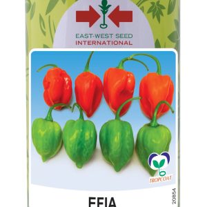Semence de PIMENT EFIA 50 gr