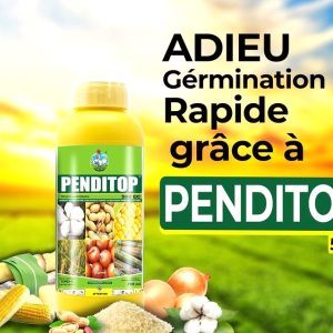 Herbicide liquide sélectif de pré-levée PENDITOP 500 EC 1 litre – Coton, arachide, maïs