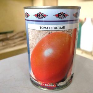 Semence de TOMATE UC 82 B BS 100 gr
