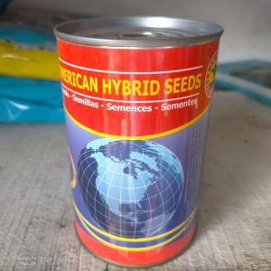 Semence de LAITUE MACAO 100 gr