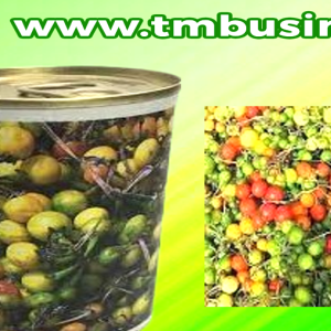 Semence d&rsquo;AUBERGINE AFRICAINE GNANGNAN 50 gr