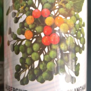 Semence d&rsquo;AUBERGINE AFRICAINE GNANGNAN 50 gr