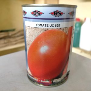 Semence de TOMATE UC 82 B 100 gr BS