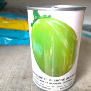 Semence hybride d&rsquo;AUBERGINE F1 BLANCHE (DJEMBA) 50 gr