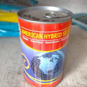 Semence de TOMATE UC 82 B 100 gr AHS