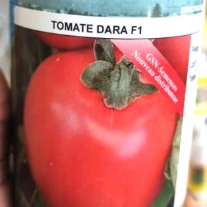 Semence hybride de TOMATE DARA F1 50 gr
