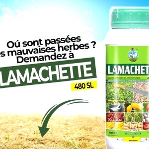 Herbicide liquide total LAMACHETTE 480 SL 1 litre – Toutes les cultures
