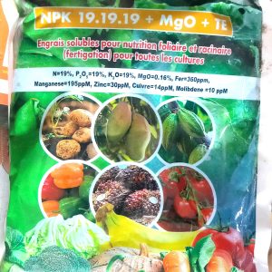 Engrais granulé soluble BOOSTER-MAX NPK 19.19.19 + MgO + TE 1 kg – Toutes les cultures