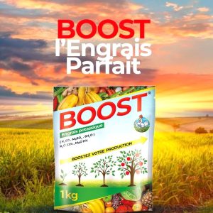 Engrais granulé potassique BOOST 1 kg – Riz