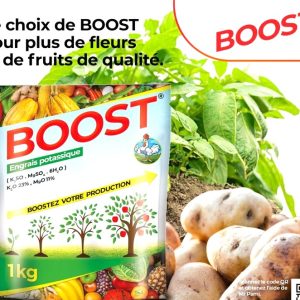 Engrais granulé potassique BOOST 1 kg – Pomme de terre