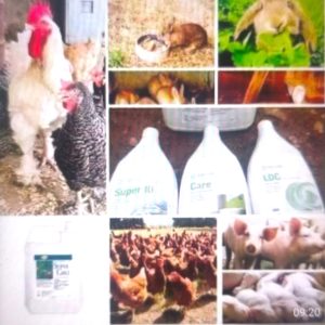 Complément alimentaire 100% Bio SUPER GRO 5 litres + Insecticides Bio Les 3 COMBATTANTS – Elevage