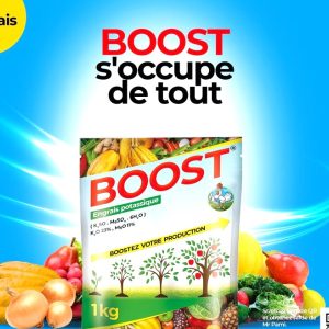 Engrais granulé potassique BOOST 1 kg – Cultures maraichères