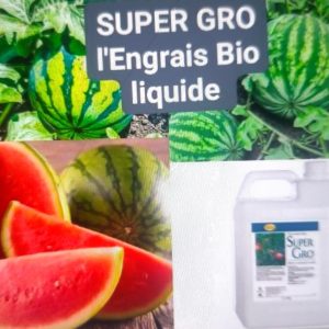 Engrais foliaire et racinaire 100% Bio SUPER GRO 5 litres – Pastèque