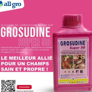 Insecticide liquide binaire GROSUDINE SUPER 50 1 litre – Cacao, café