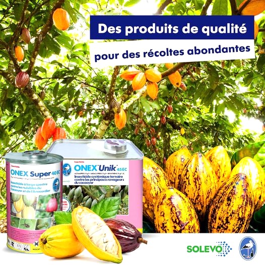 Insecticide liquide ternaire ONEX UNIK 45 EC 1,5 litres – Cacao
