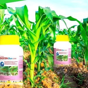 Insecticide liquide binaire DOYEN DUO 32 EC 250 ml – Cultures vivrières et maraichères